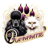 La Papate : toiletteur chien et chat à domicile à Quimper